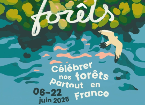 actualites-1